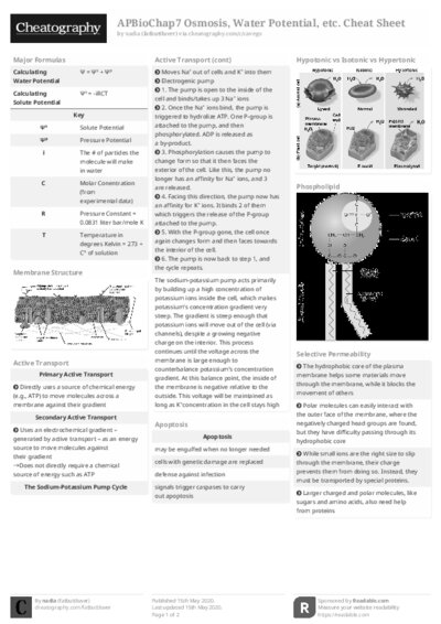 PDF (Black & white) — Style 2