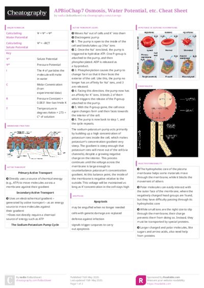 PDF (Colour) — Style 3