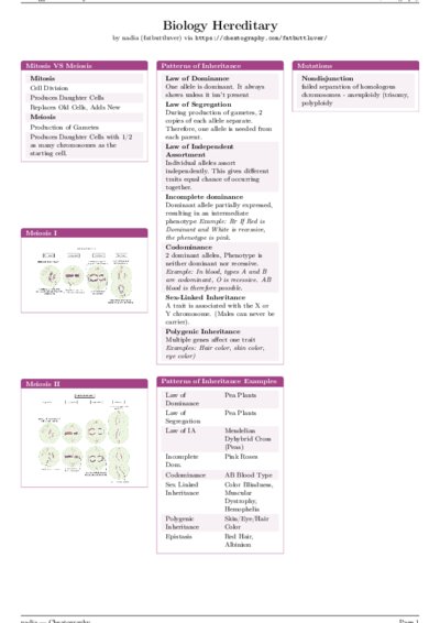 LaTeX (Compiled PDF)