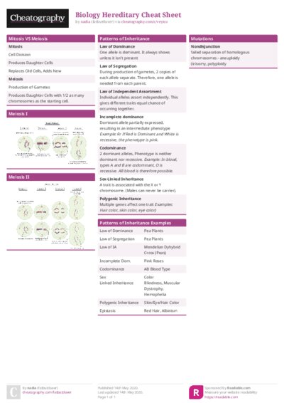 PDF (Colour) — Style 1