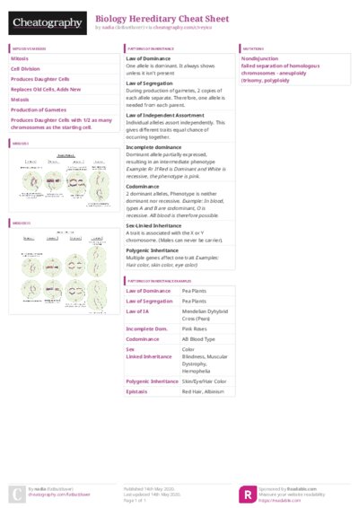 PDF (Colour) — Style 3
