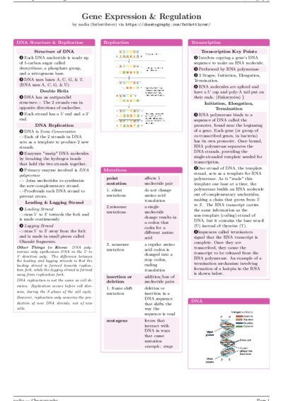 LaTeX (Compiled PDF)