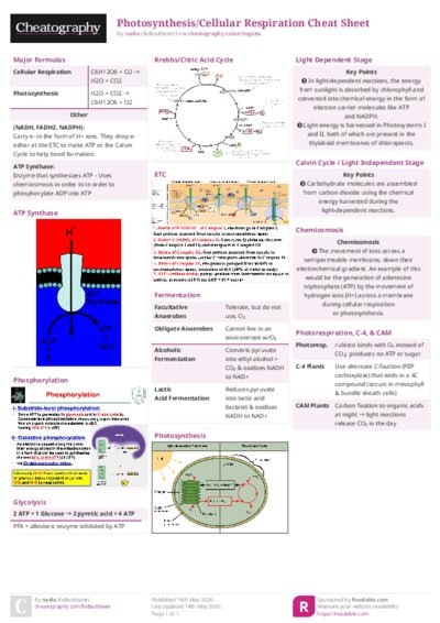 Photosynthesis/Cellular Respiration Cheat Sheet