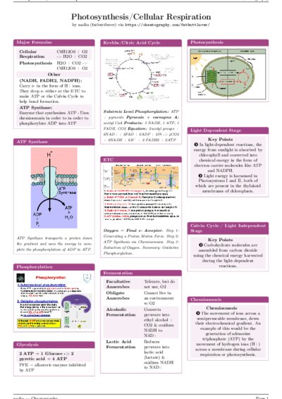 LaTeX (Compiled PDF)