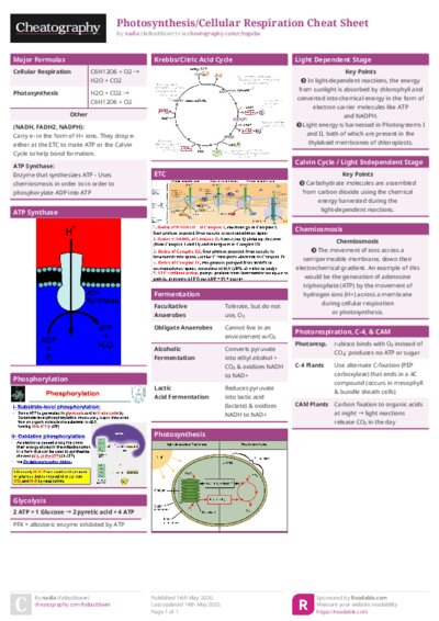 PDF (Colour) — Style 1