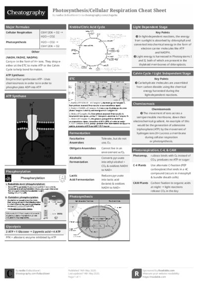 PDF (Black & white) — Style 1