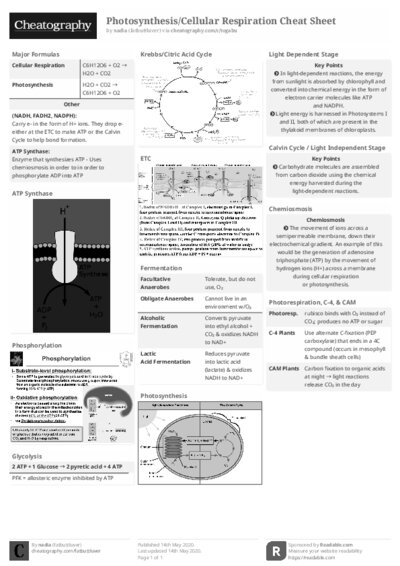 PDF (Black & white) — Style 2