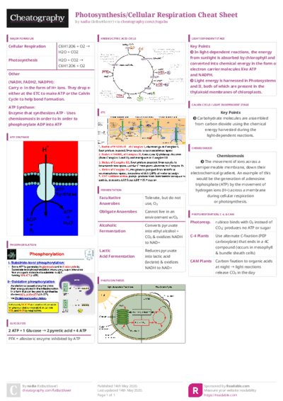 PDF (Colour) — Style 3