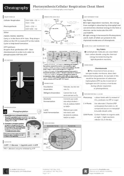 PDF (Black & white) — Style 3