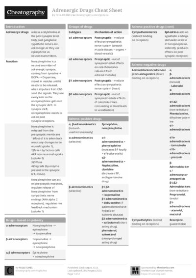 PDF (Black & white) — Style 1