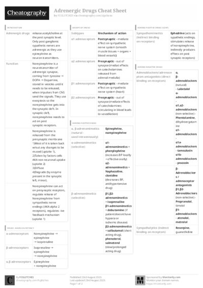 PDF (Black & white) — Style 3
