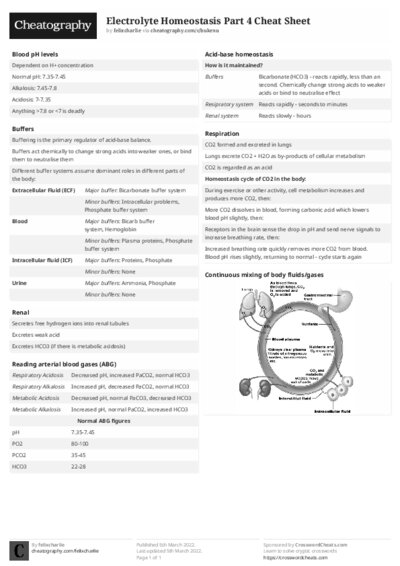 PDF (Black & white) — Style 2