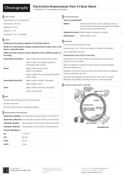 PDF (Black & white) — Style 3