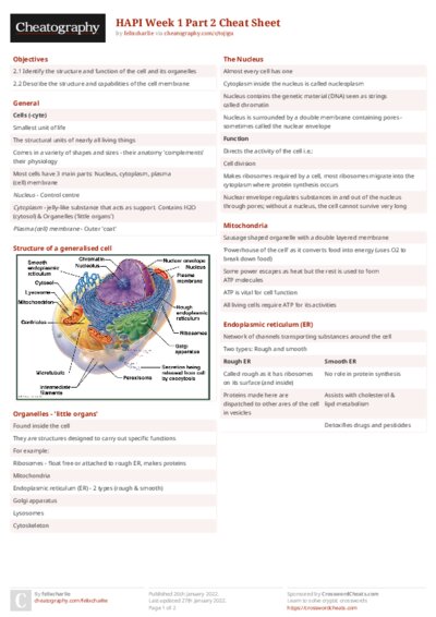 HAPI Week 1 Part 2 Cheat Sheet