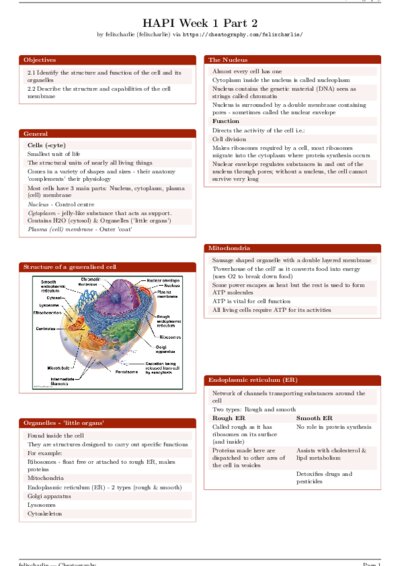 LaTeX (Compiled PDF)