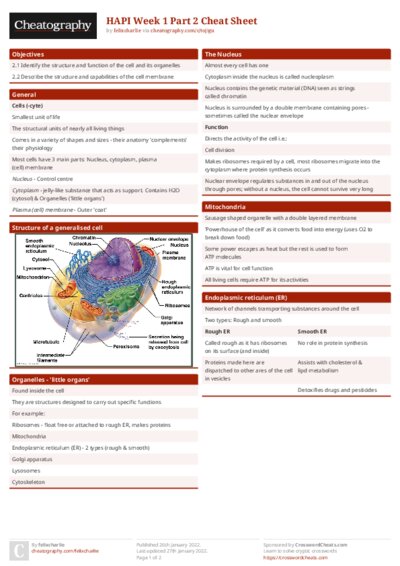 PDF (Colour) — Style 1