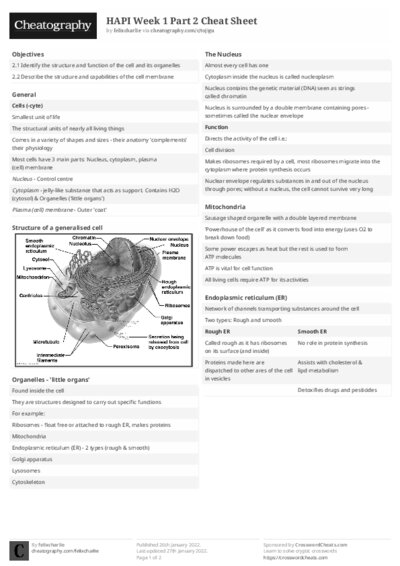 PDF (Black & white) — Style 2