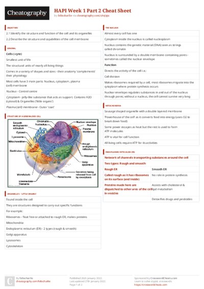 PDF (Colour) — Style 3