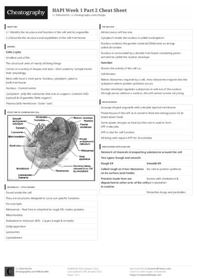 PDF (Black & white) — Style 3