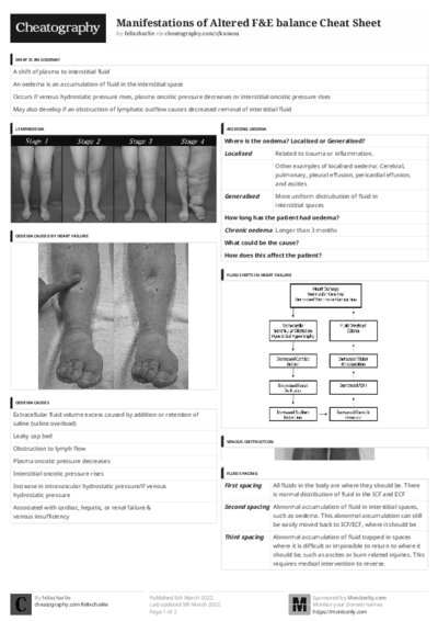 PDF (Black & white) — Style 3
