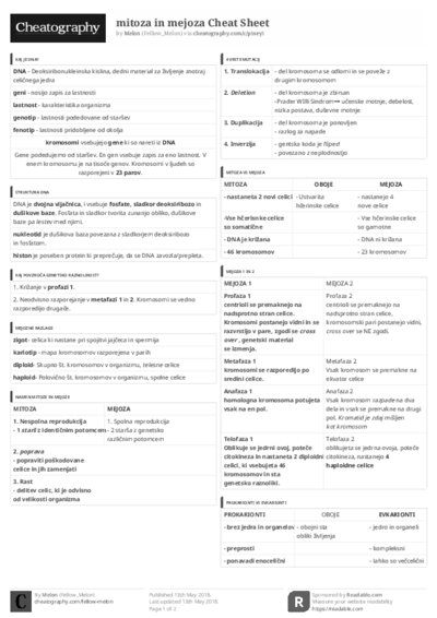 PDF (Black & white) — Style 3