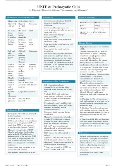 LaTeX (Compiled PDF)