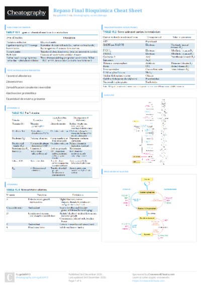 PDF (Colour) — Style 3