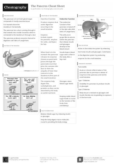 PDF (Black & white) — Style 3