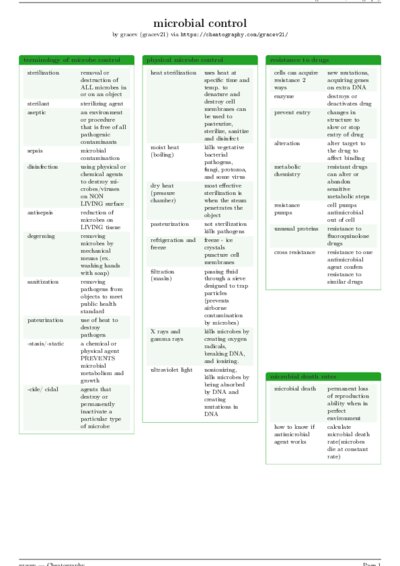 LaTeX (Compiled PDF)