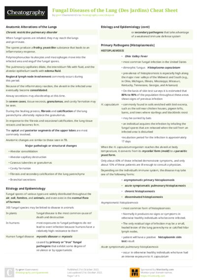 PDF (Colour) — Style 2