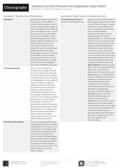 PDF (Black & white) — Style 2