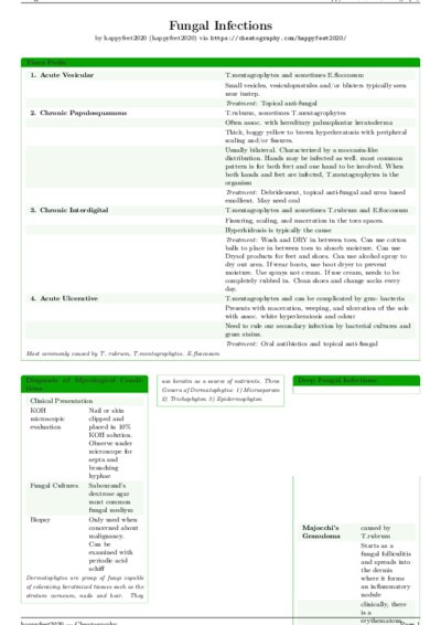 LaTeX (Compiled PDF)