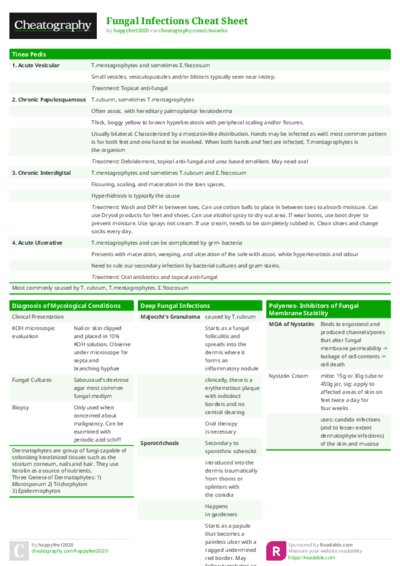 PDF (Colour) — Style 1