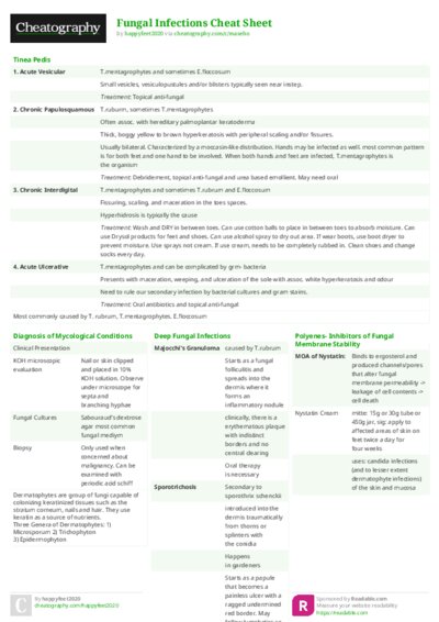 PDF (Colour) — Style 2
