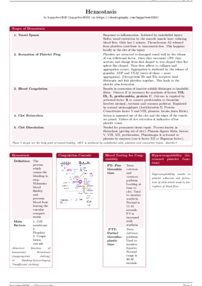 LaTeX (Compiled PDF)