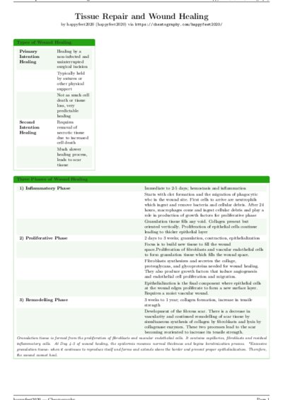 LaTeX (Compiled PDF)