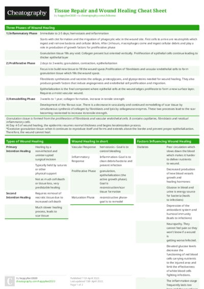 PDF (Colour) — Style 1
