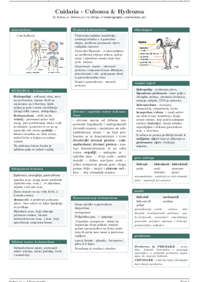 LaTeX (Compiled PDF)