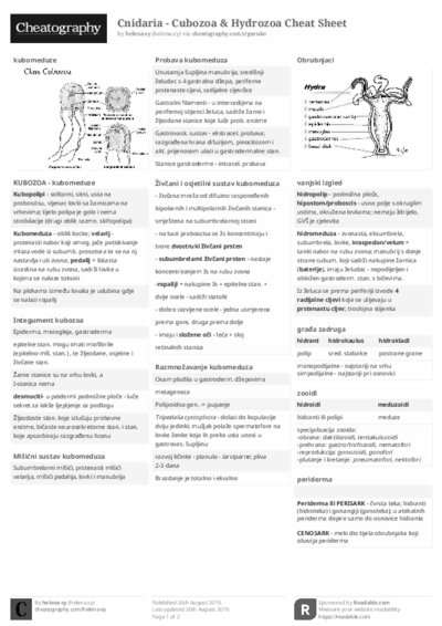 PDF (Black & white) — Style 2