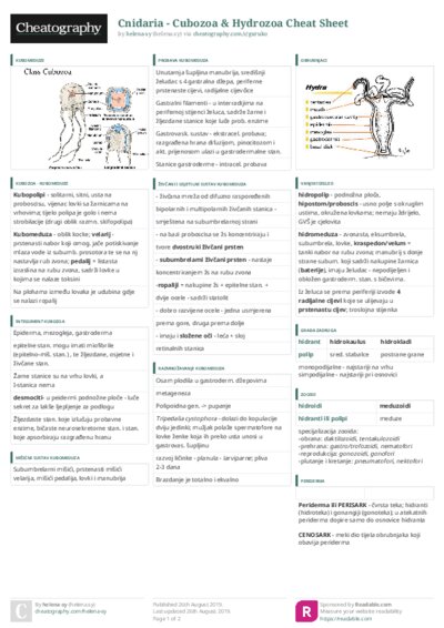 PDF (Colour) — Style 3