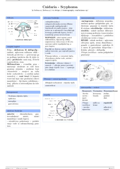 LaTeX (Compiled PDF)