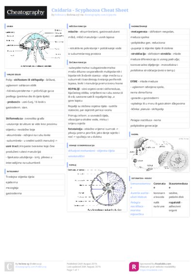 PDF (Colour) — Style 3
