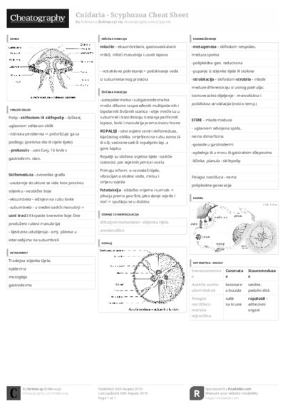 PDF (Black & white) — Style 3