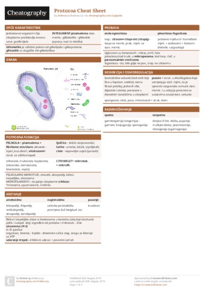 Protozoa Cheat Sheet