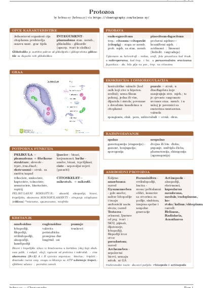 LaTeX (Compiled PDF)