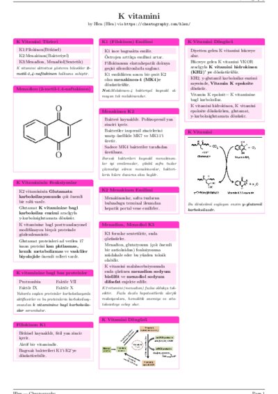 LaTeX (Compiled PDF)