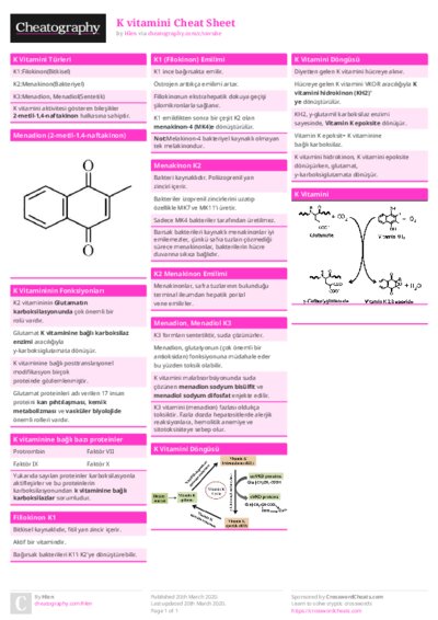 PDF (Colour) — Style 1