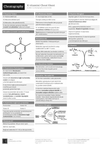 PDF (Black & white) — Style 1