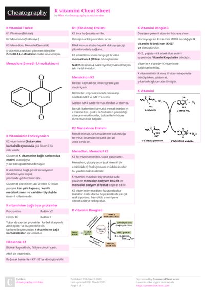 PDF (Colour) — Style 2