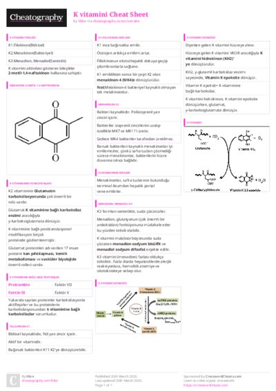 PDF (Colour) — Style 3